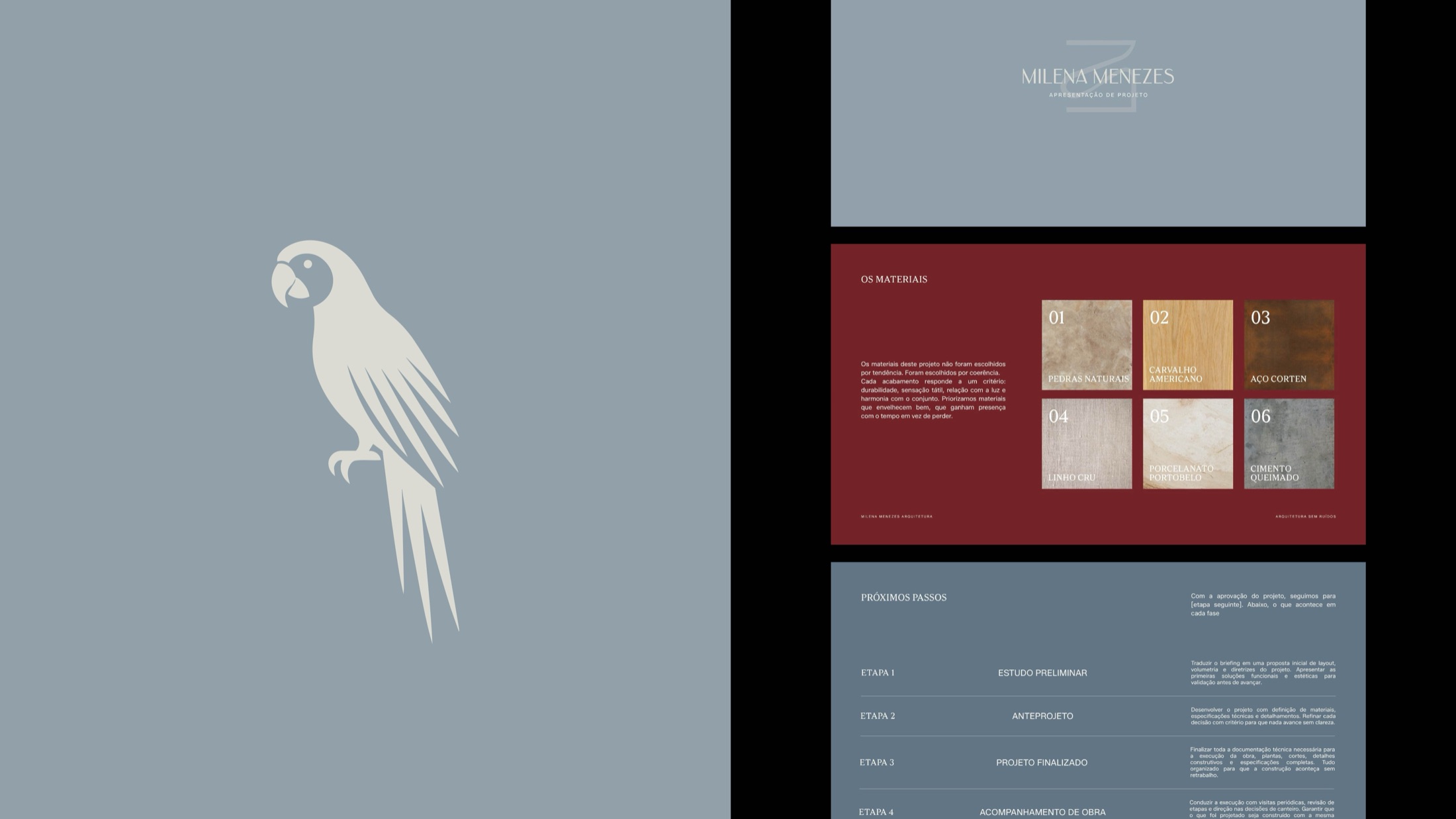 Macaw and brand guide